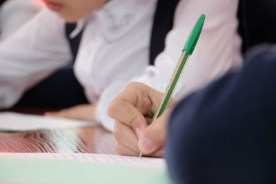 Казахстанские школьники завоевали более 900 медалей на международных олимпиадах