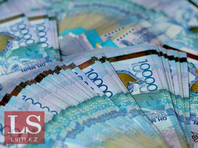 В Казахстане запустят проект на бюджетные деньги