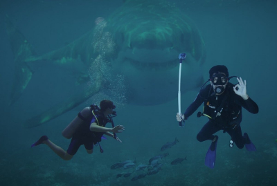 Акула напала на людей во время снорклинга на Мальдивах