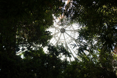 Что произошло с оранжереей в Ботаническом саду