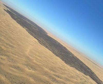 В Жамбылской области локализовали пожар на территории лесничества