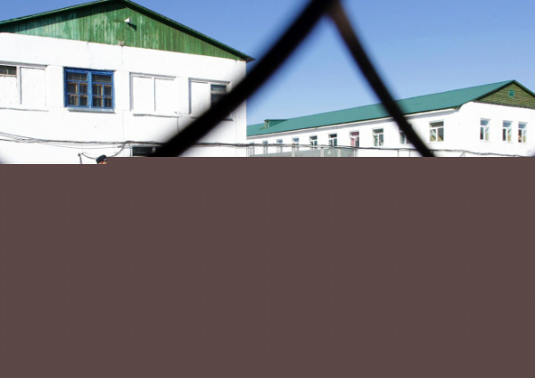 Мажилис начал работу над законопроектами об амнистии